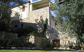 Ελαιώνας της Γέρας